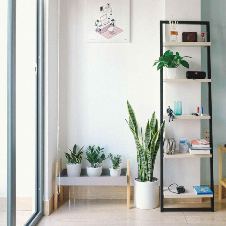 Tex Perkins On How To Get Into Live Music & More (Demo)