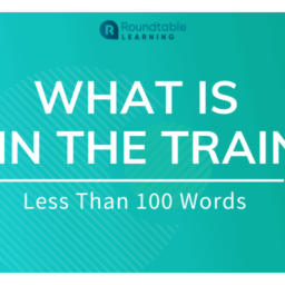 What-Is-Train-The-Trainer-100W